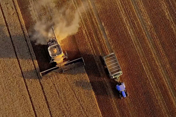 maquinas trabajando la tierra para sembrar